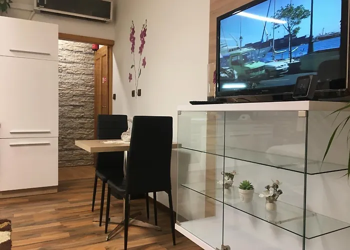 Apartment Hlinská