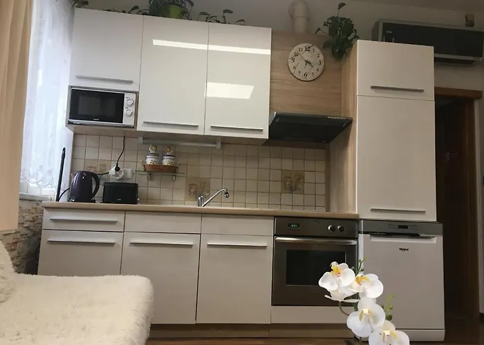 Apartment Hlinská